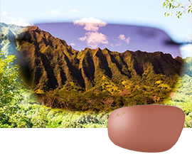 Maui Roseの色味イメージとMaui Roseでの見え方イメージ