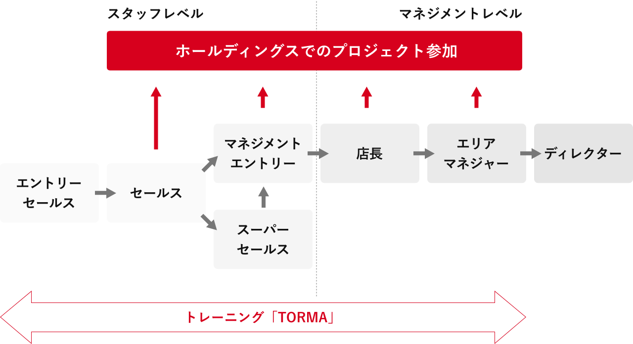 キャリアパスイメージ図