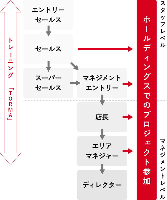 キャリアパスイメージ図